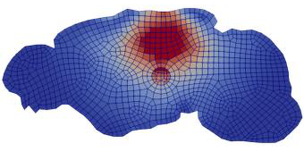 liu2025convolutional.png